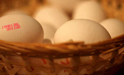 Unfortunately women only have the eggs they’re born with. Kyle Brown/Flickr, CC BY-SA